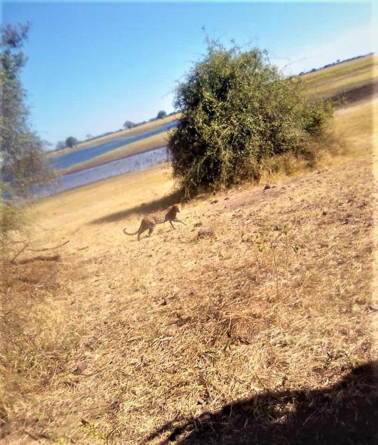 Xhabe Safari Lodge Chobe Muchenje Exteriér fotografie